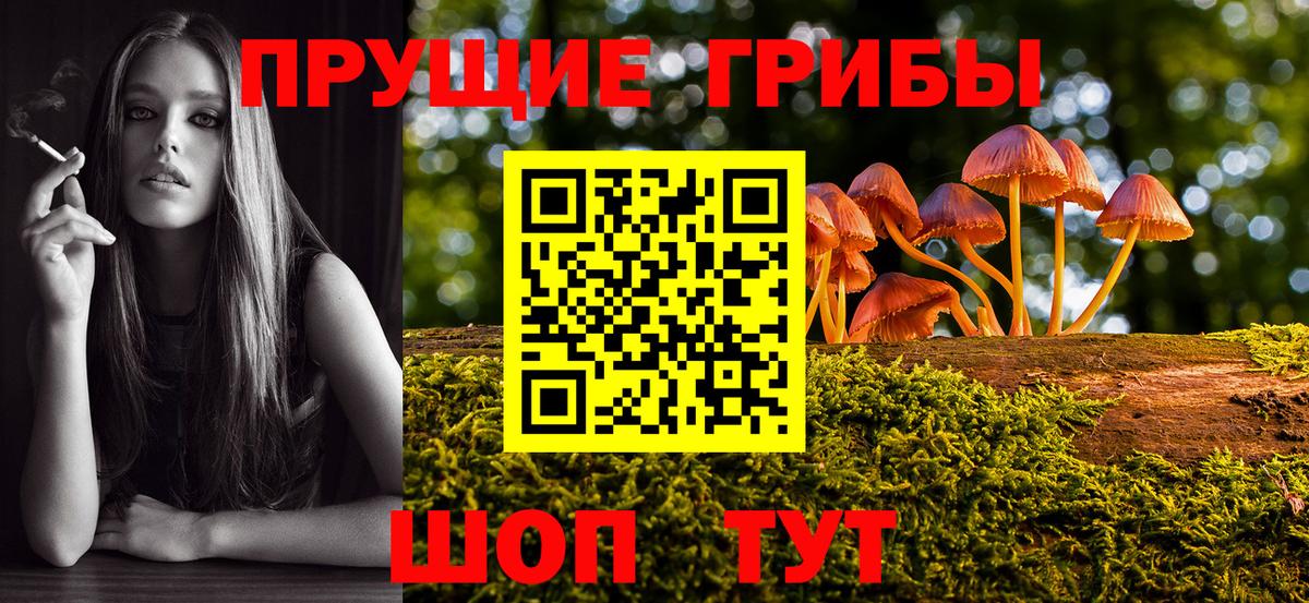 Галлюциногенные грибы ЛСД Нижний Новгород