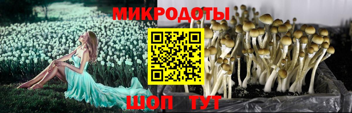 Псилоцибиновые грибы Cubensis  Псилоцибиновые грибы Magic Shrooms  Вход с VPN  Нижний Новгород 
