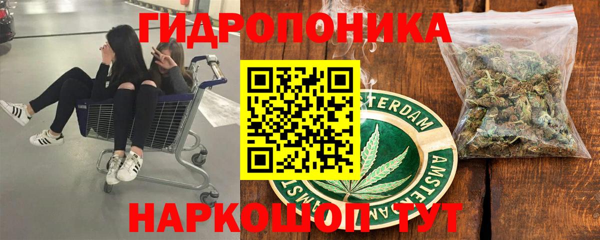 Бошки Шишки планчик Нижний Новгород