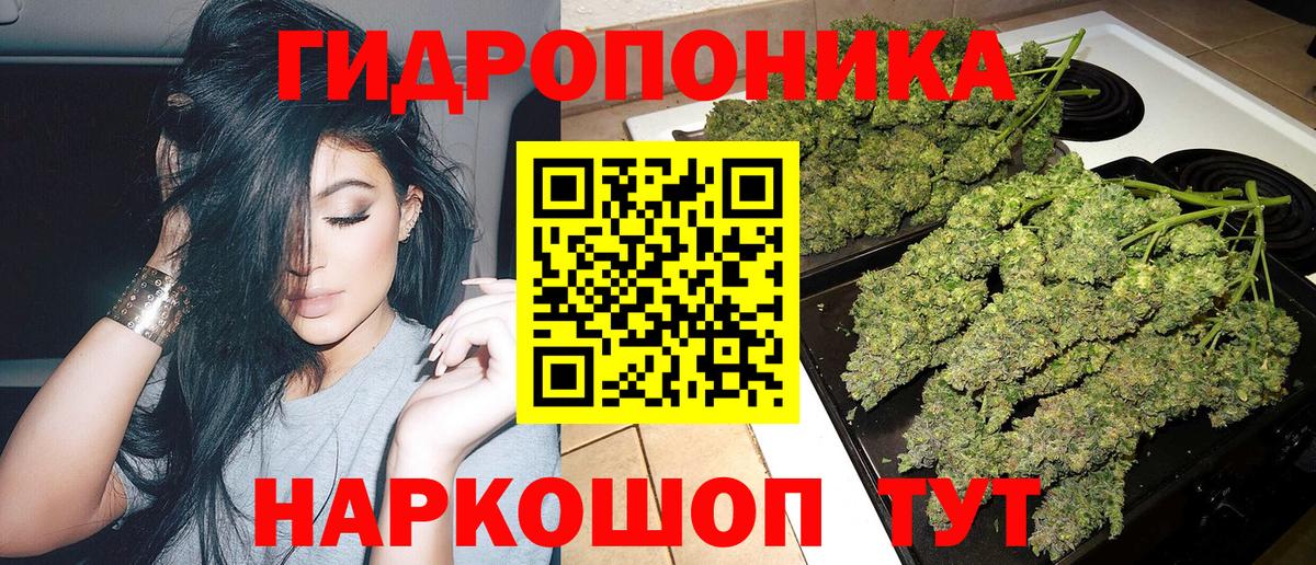 Шишки марихуана планчик  Конопля тримм  Вход с VPN  Нижний Новгород 
